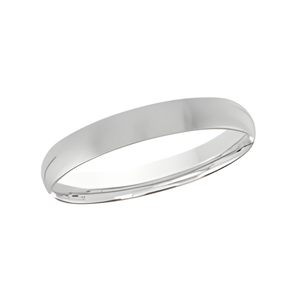 Platinum 2mm Polished Band