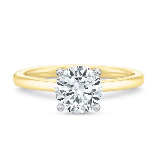 Precision Set 1ct Round Diamond Engagement Mounting