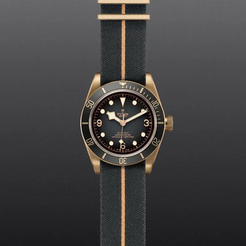 Black Bay Bronze