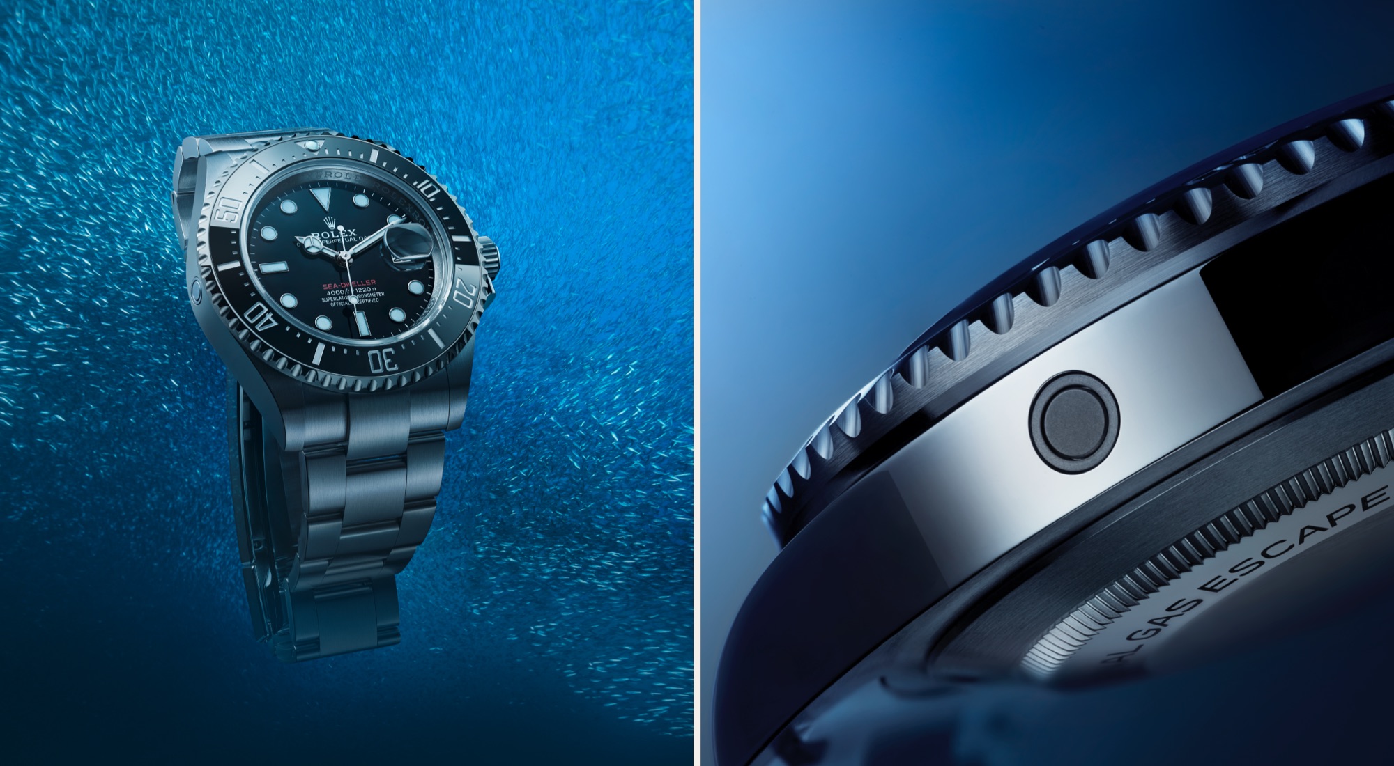 The new face of diving at R.F. Moeller Jeweler