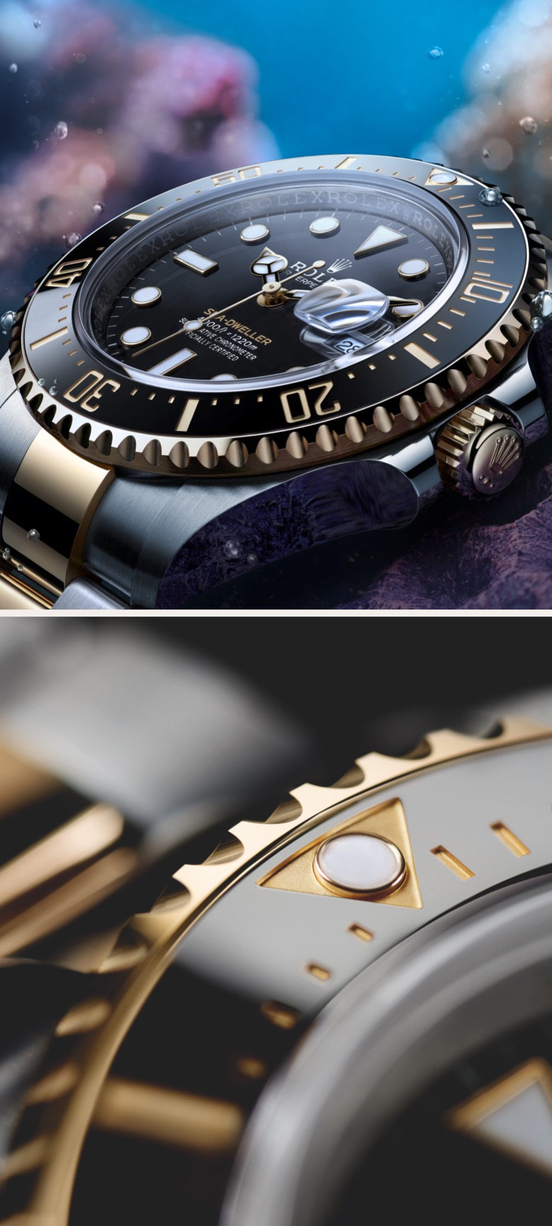 Rolex Sea Dweller Watches R.F. Moeller Jeweler