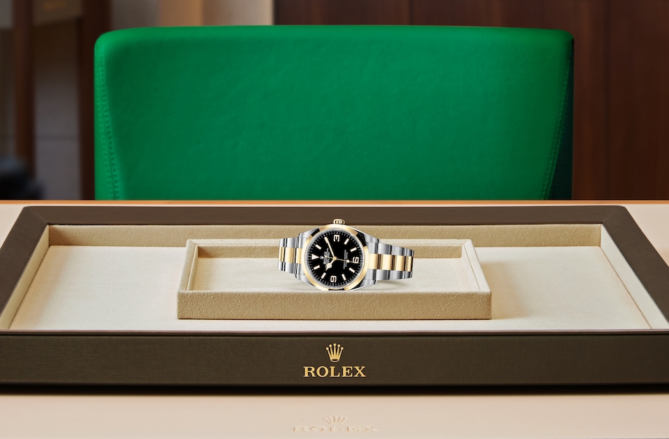 Rolex Explorer 36 displayed on a tray