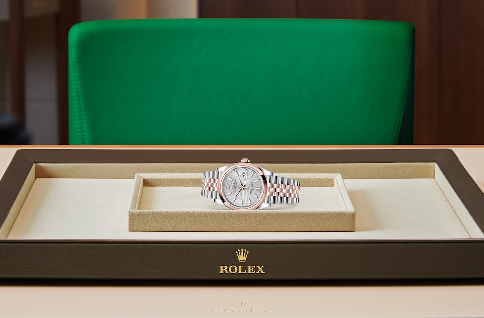 Rolex Datejust 36 displayed on a tray