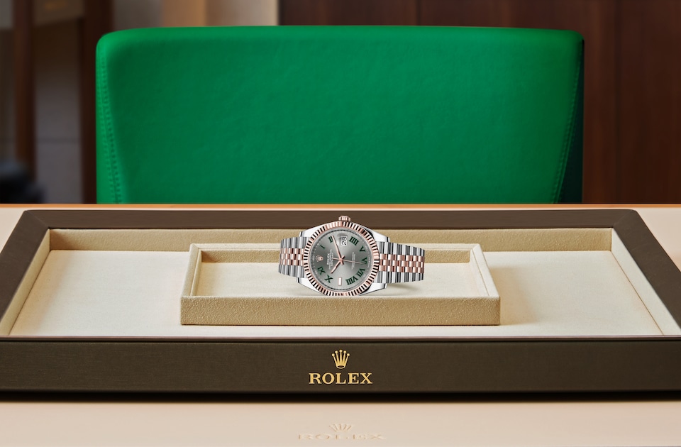 Rolex Datejust 41 displayed on a tray