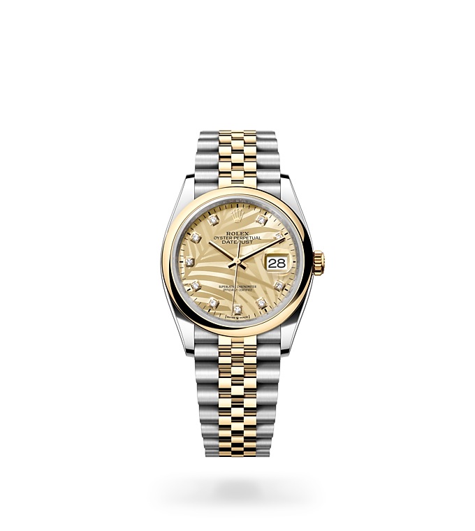 Rolex Datejust 36 Watch Isolated Image