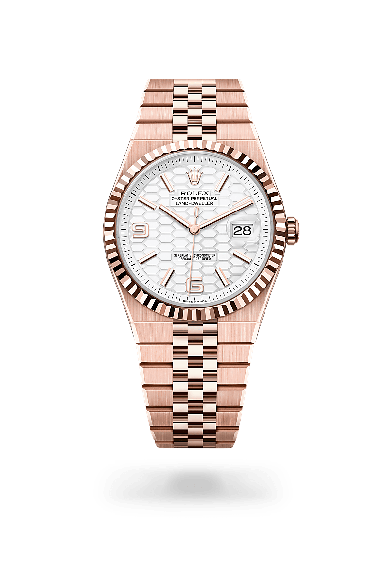 Rolex Land-Dweller 40 Watch Isolated Image