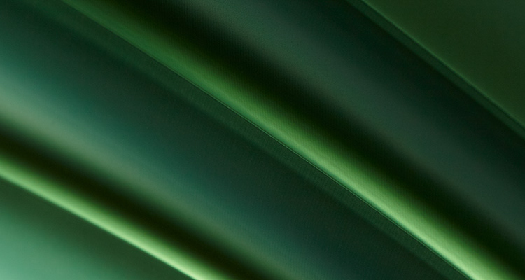 Abstract Green Swooshes Banner Image