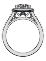 A computer designed engagement ring.